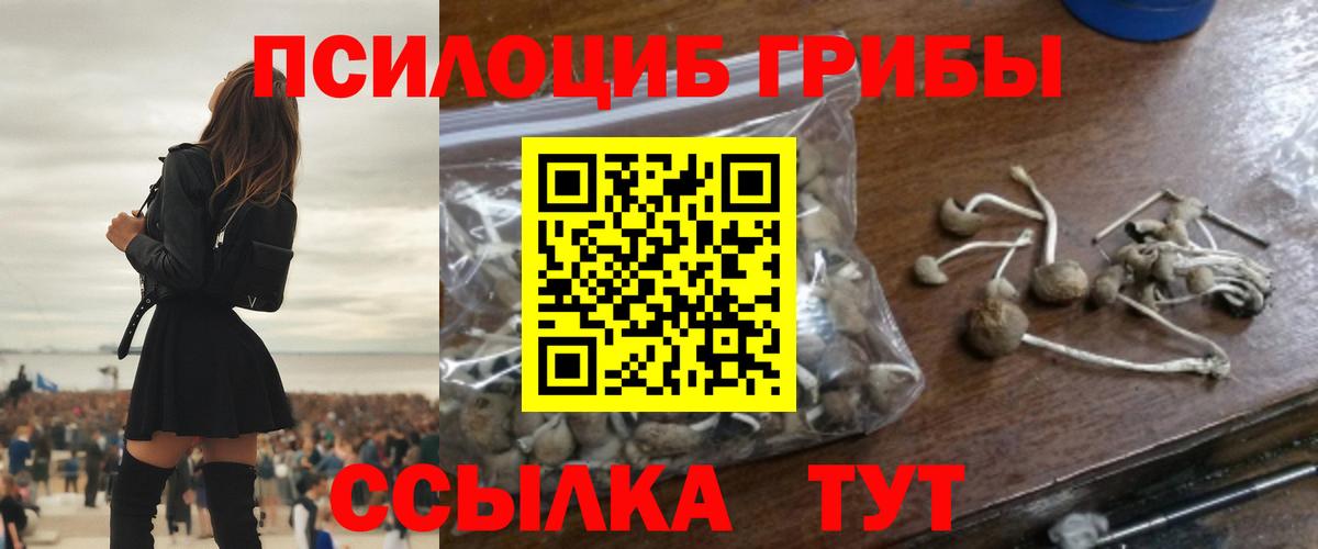 Псилоцибиновые грибы GOLDEN TEACHER Каменск-Уральский